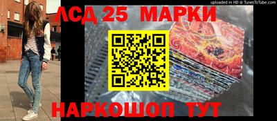 apvp Новодвинск