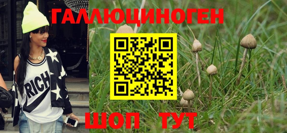 Сердобск  Галлюциногенные грибы GOLDEN TEACHER  Вход с VPN 